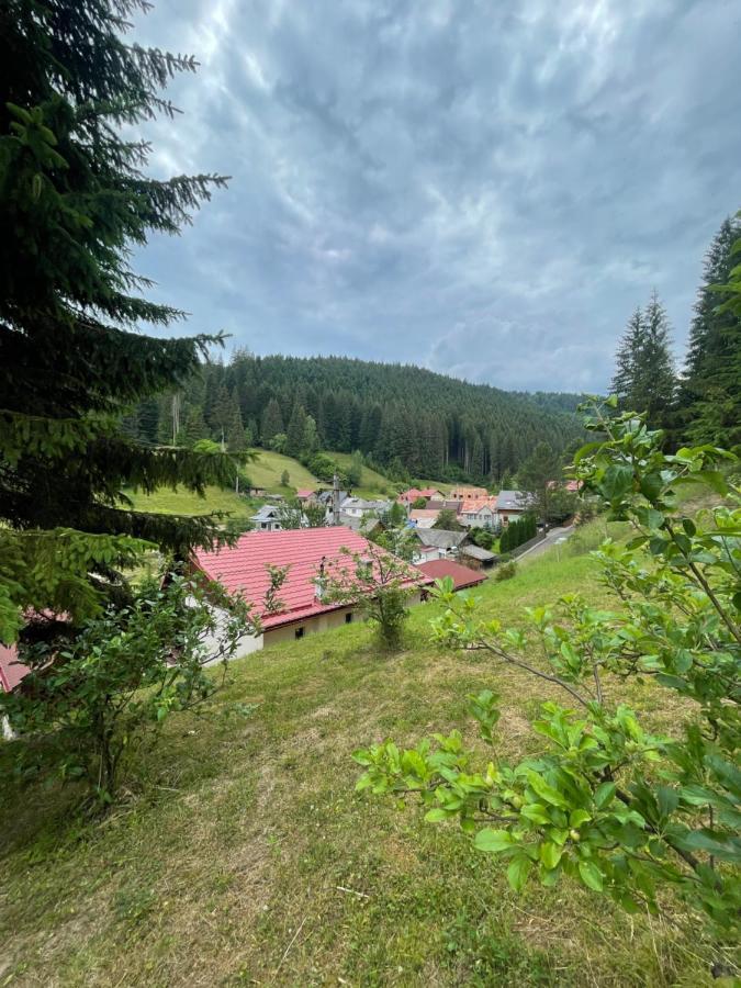 Casa De Vacanta Chesa Borsec Bagian luar foto