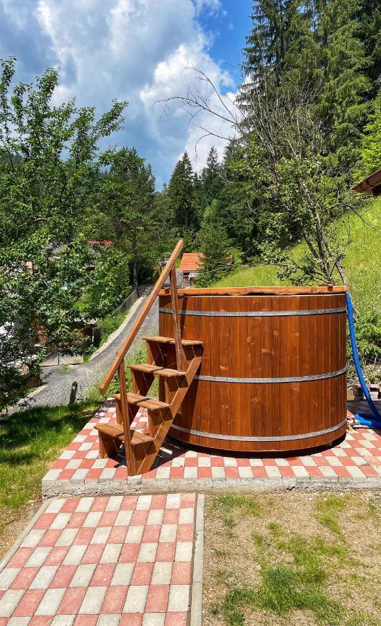 Casa De Vacanta Chesa Borsec Bagian luar foto